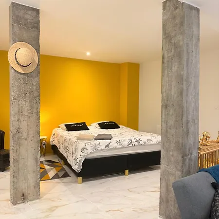 Magnifique Studio, Proche Du Centre * Rodez