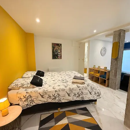 Magnifique Studio, Proche Du Centre *