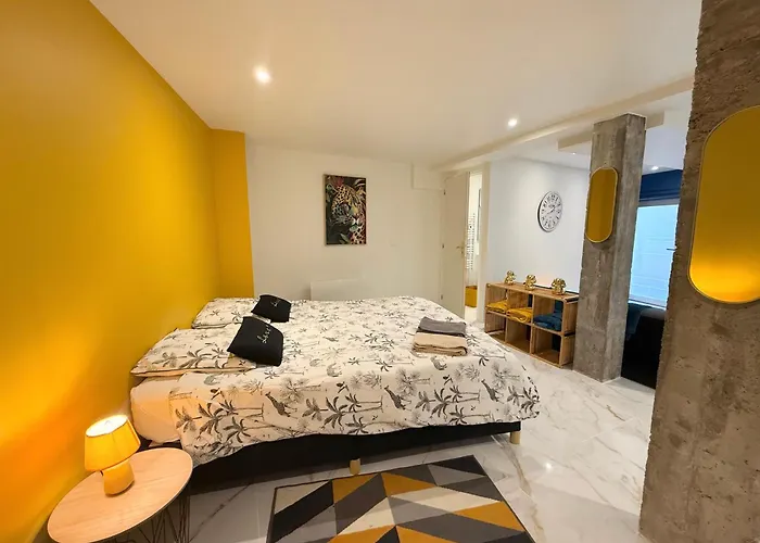 Magnifique Studio, Proche Du Centre *